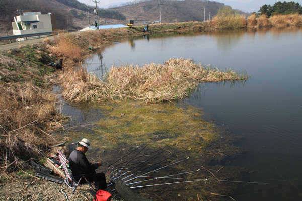 자인권 전체적으로 산란시작 (조황조행기 - 특파원조황)