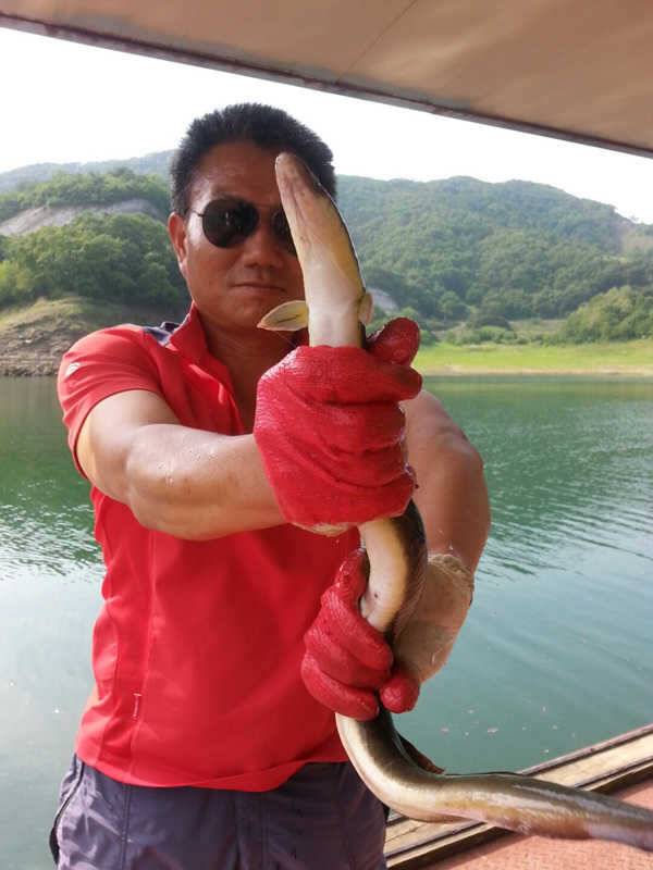 후산리 붕어 장어조황 소식입니다 (조황조행기 - 특파원조황)