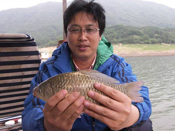 서운리 화암리 붕어 장어소식 (조황조행기 - 특파원조황)