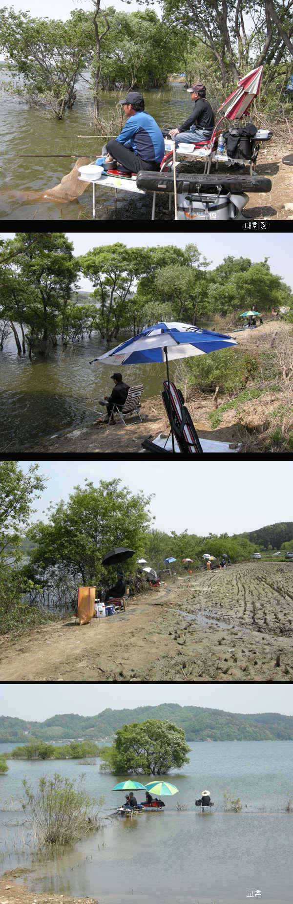 예당지조황 (조황조행기 - 특파원조황)