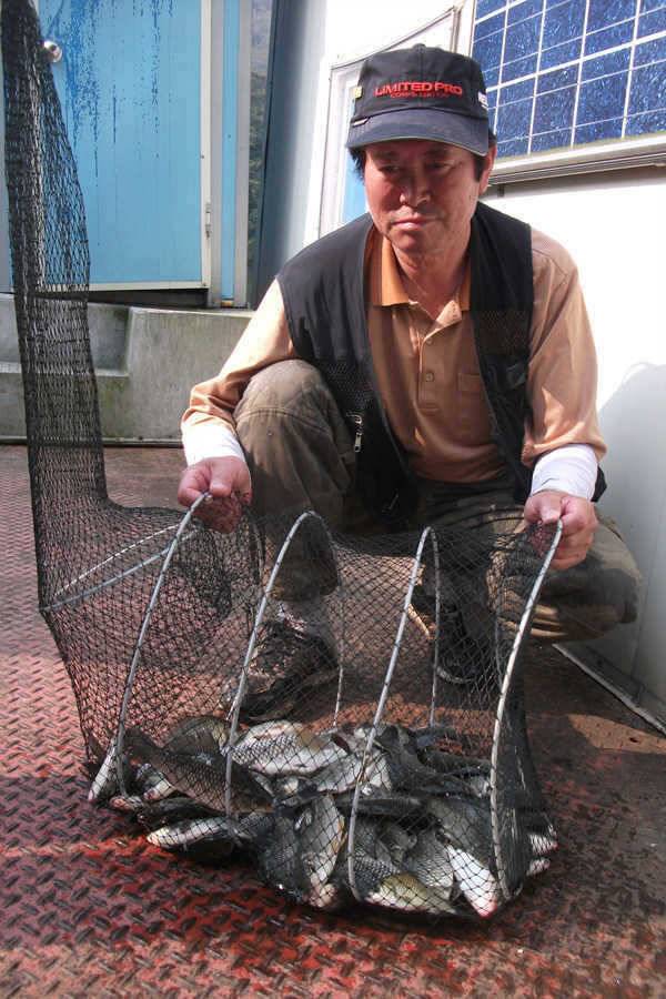 명서낚시터 마릿수는 대단합니다 (조황조행기 - 특파원조황)