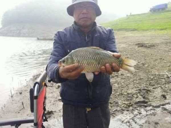 충주호 노지 조황 소식 (조황조행기 - 특파원조황)