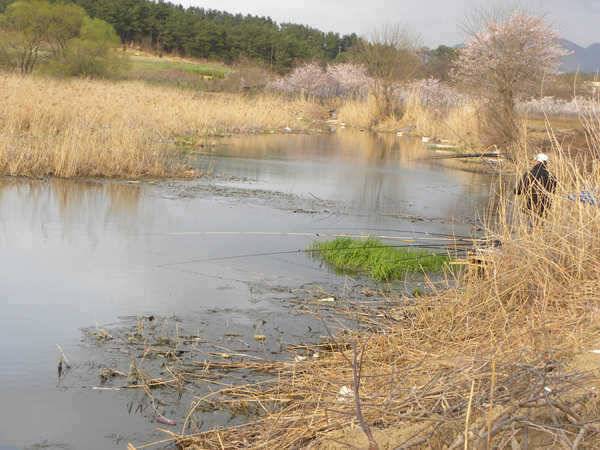 경산권에도 대물들의 용트림이438 외 (조황조행기 - 특파원조황)