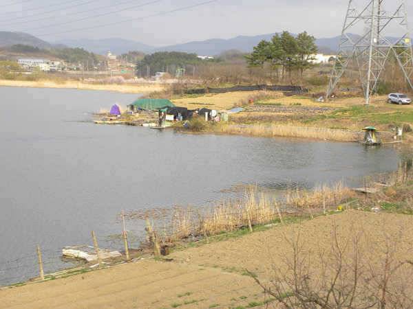 경산권에도 대물들의 용트림이438 외 (조황조행기 - 특파원조황)