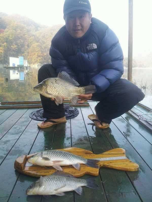 충주호 명서낚시터 대물붕어와 월척급 소식 (조황조행기 - 특파원조황)