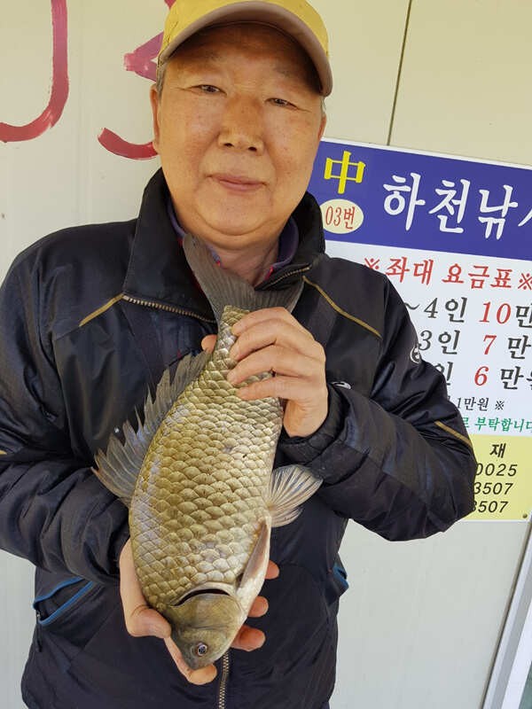 후산 하천리 주말조황 4짜 (조황조행기 - 특파원조황)
