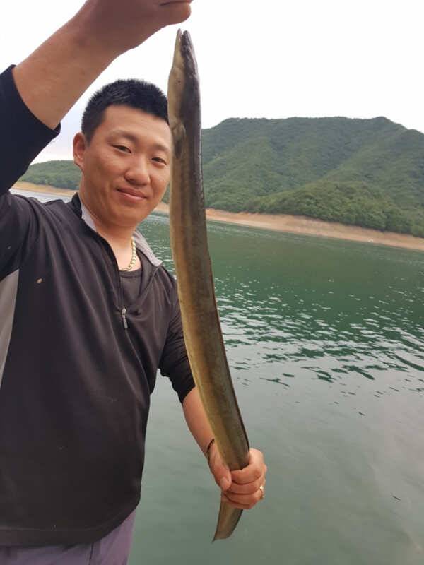 목벌 월척붕어 서유석 키로급장어 소식 (조황조행기 - 특파원조황)