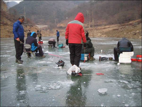 경산 용성 송림지완전결빙에 빙어 호조황 (조황조행기 - 특파원조황)