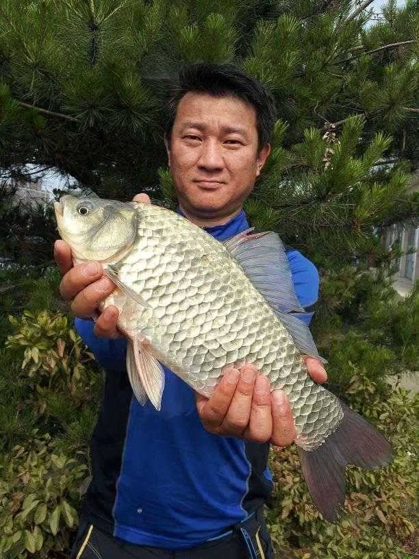 천수만부남호 6월24일 44cm와 대물행진 조황 (조황조행기 - 특파원조황)