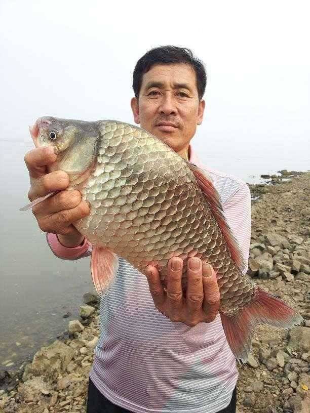 천수만부남호 6월24일 44cm와 대물행진 조황 (조황조행기 - 특파원조황)