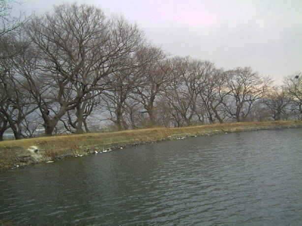 밀구지의전경 (조황조행기 - 특파원조황)