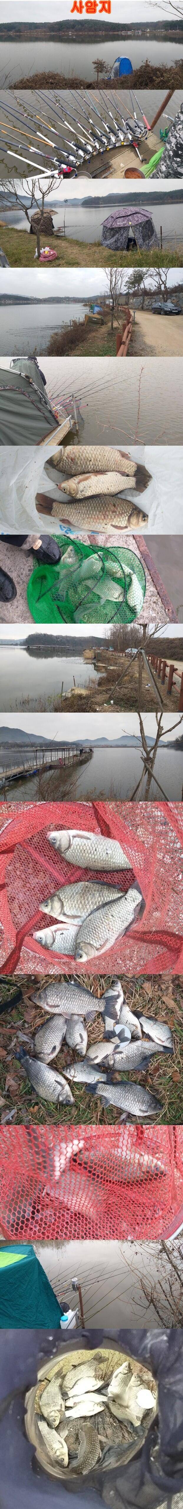 안흥수낚시 주변 낚시터들 현황 (조황조행기 - 특파원조황)