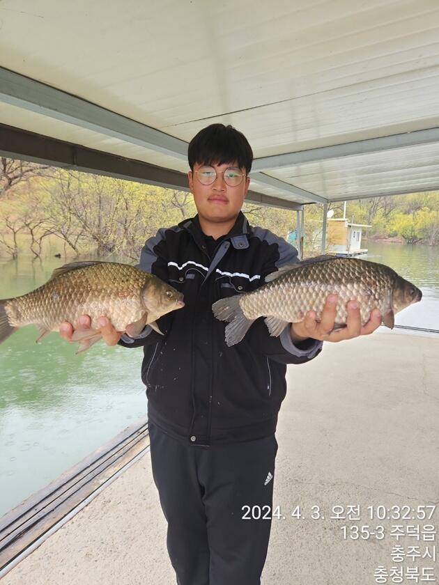 솔 45 cm37 cm36 cm화곡지 4 짜 조황 (조황조행기 - 특파원조황)