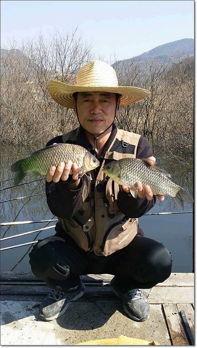 화곡지 산란임박 (조황조행기 - 특파원조황)