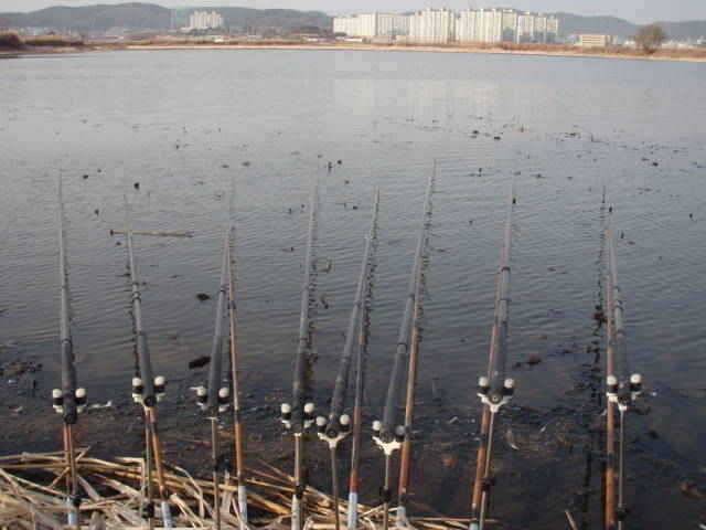 서산권 준월척조황 (조황조행기 - 특파원조황)