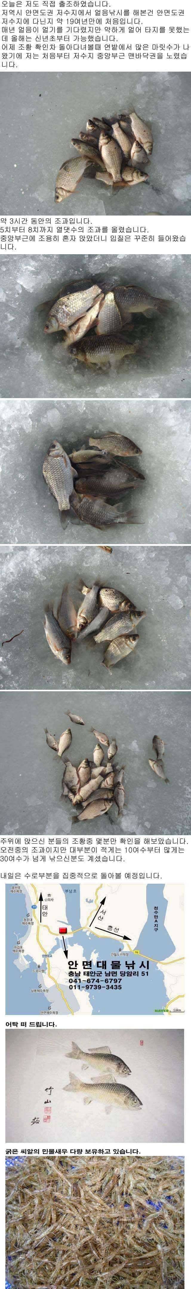 안면도권 저수지 얼음낚시 조황 안내 (조황조행기 - 특파원조황)