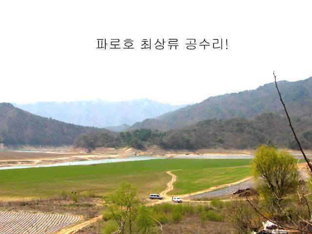파로호 상류 붕어 산란시작 (조황조행기 - 특파원조황)