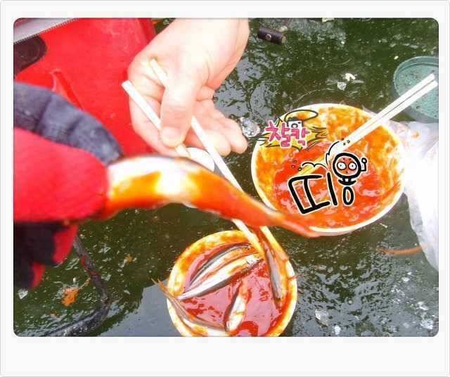 경상 용성 송림지에서 빙어들이 와글와글 (조황조행기 - 특파원조황)