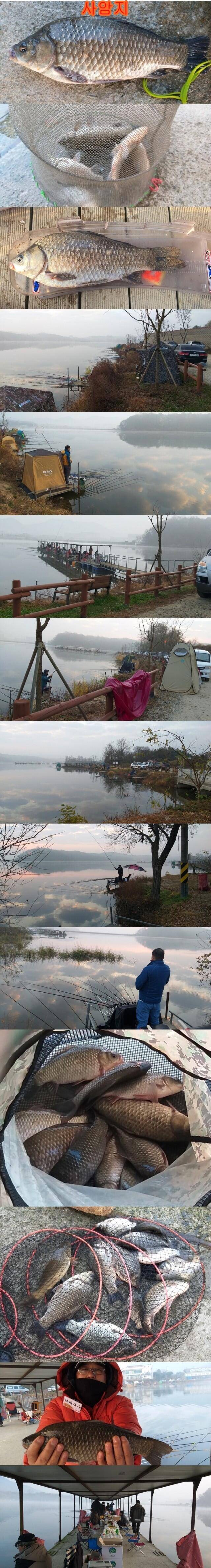 고삼사암두창지주말 조황 (조황조행기 - 특파원조황)