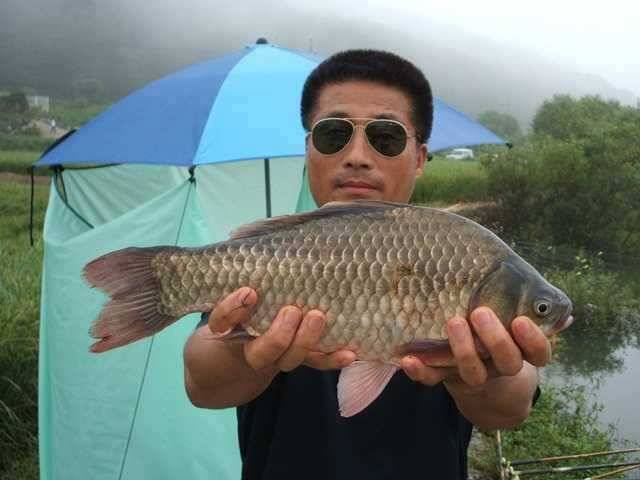 덕산지 오랜만에 보는 4짜의 모습 (조황조행기 - 특파원조황)
