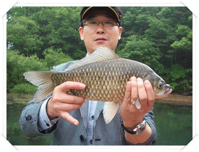 토요일 4짜의 모습 (조황조행기 - 특파원조황)