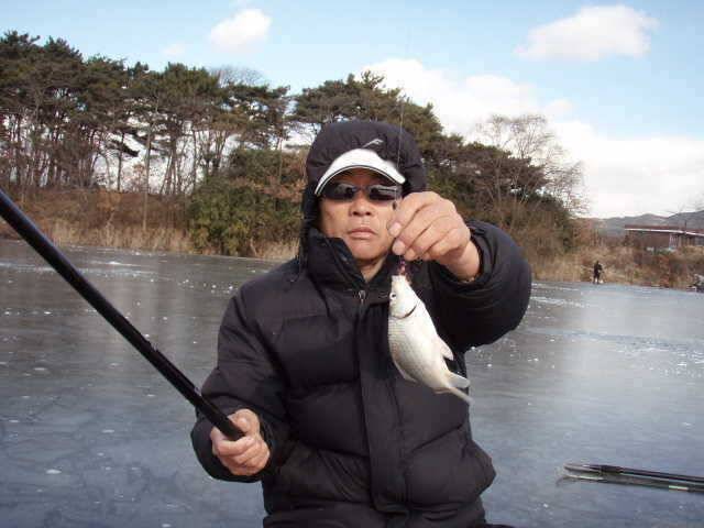 부석권 봉락지 얼음낚시 조황 (조황조행기 - 특파원조황)