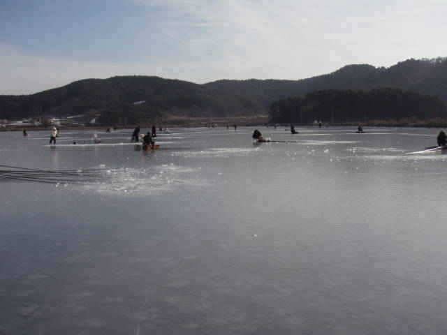 태안소류지 죽림지 비석거리지 조황 (조황조행기 - 특파원조황)