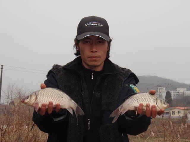 안면권 및 서산권 조황 (조황조행기 - 특파원조황)