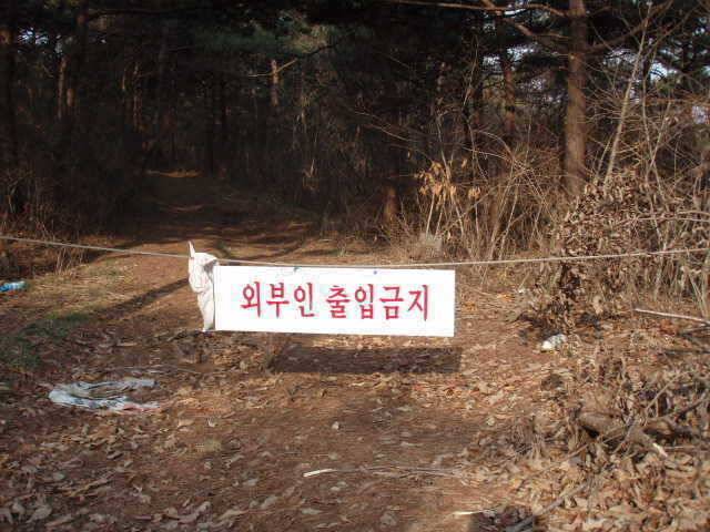 마룡지 및 태안각지 조황 (조황조행기 - 특파원조황)