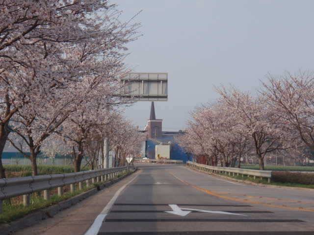 안녕하세요서산 공림낚시입니다 (조황조행기 - 특파원조황)