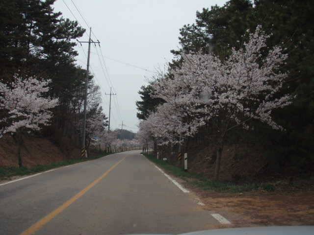 부석권수로 조황 (조황조행기 - 특파원조황)