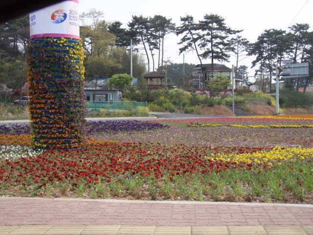 서산소류지 죽림지 태안소류지 B지구조황 (조황조행기 - 특파원조황)