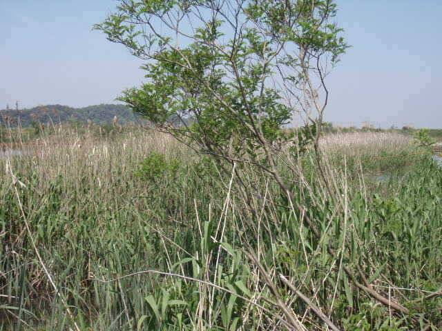 B지구 꾸준한조황 및 소류지답사 (조황조행기 - 특파원조황)