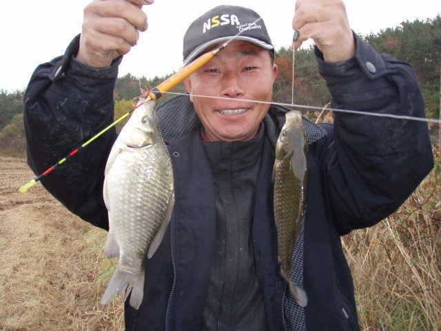 서산권수로조황 및 태안권수로조황 (조황조행기 - 특파원조황)