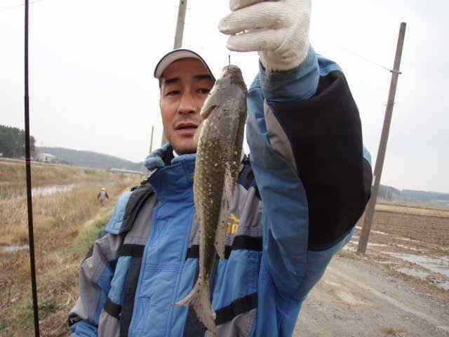 태안권 파도리수로 조황 (조황조행기 - 특파원조황)