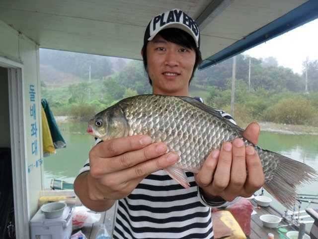 고삼지 연휴 첫날 좋은 조황의 모습 (조황조행기 - 특파원조황)