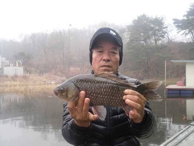 두창지 떡밥에 올라온 4짜의 모습 (조황조행기 - 특파원조황)