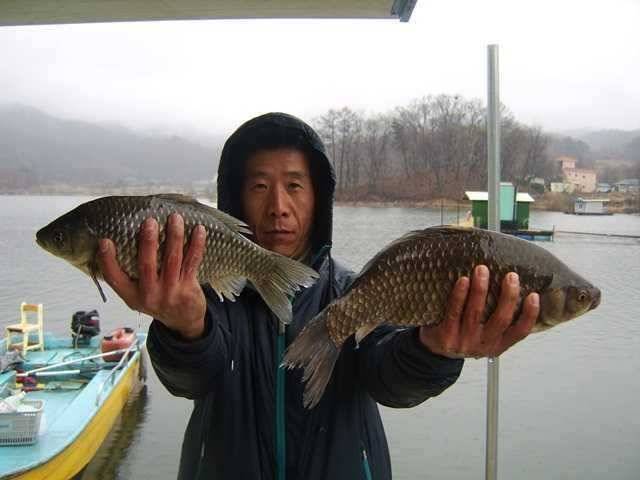 두창지4짜의 모습 (조황조행기 - 특파원조황)
