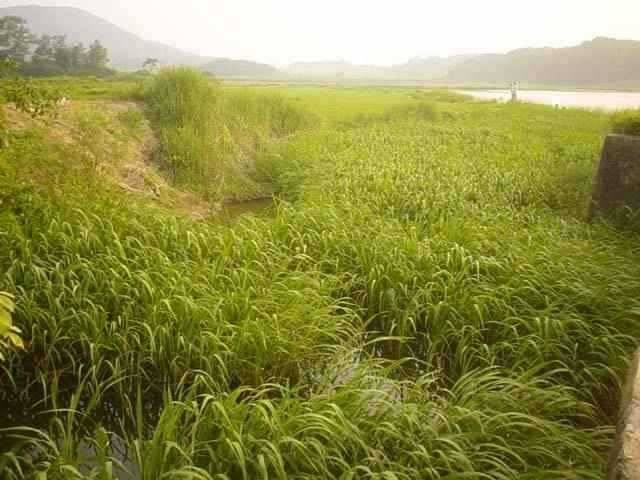 서산 동부권 장마철 첫 비에 꼭 가 볼 만한 터 (조황조행기 - 특파원조황)