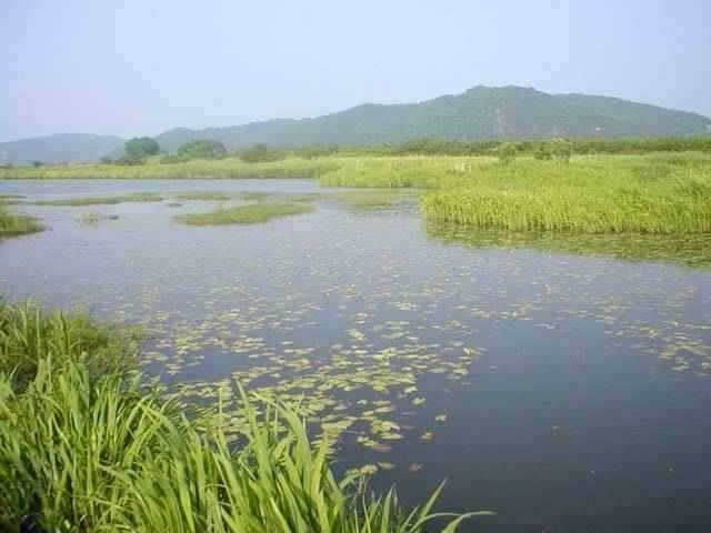 서산 동부권 장마철 첫 비에 꼭 가 볼 만한 터 (조황조행기 - 특파원조황)