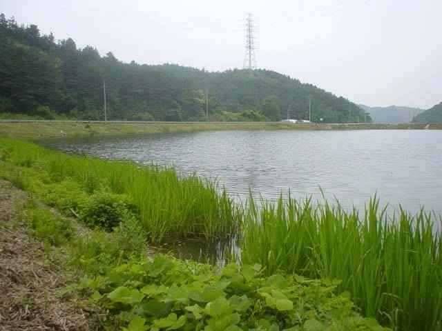 서산 동부권 물맑고 시원한 계곡형 대물터 (조황조행기 - 특파원조황)