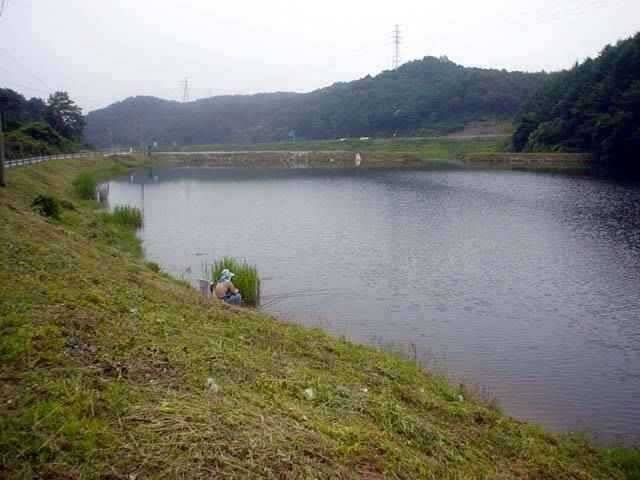 서산 동부권 물맑고 시원한 계곡형 대물터 (조황조행기 - 특파원조황)