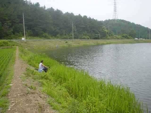 서산 동부권 물맑고 시원한 계곡형 대물터 (조황조행기 - 특파원조황)