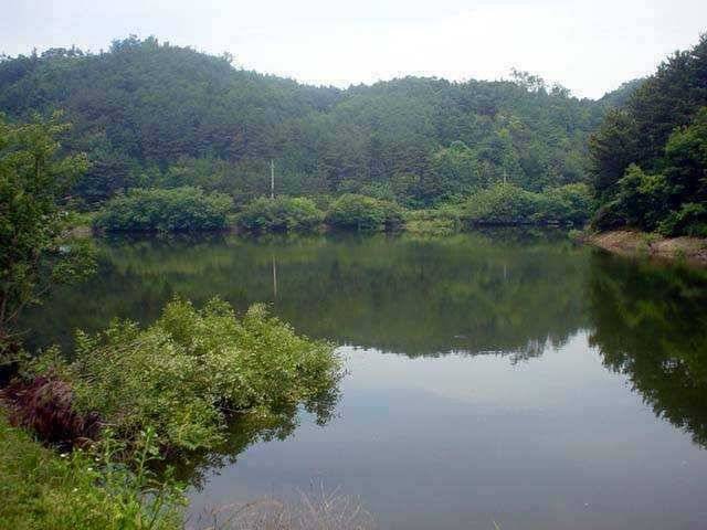 서산 동부권 물맑고 시원한 계곡형 대물터 (조황조행기 - 특파원조황)
