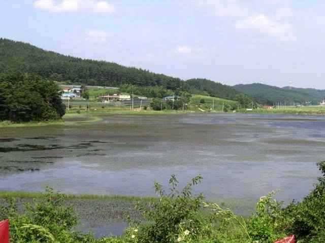 충남권 서태안권 저수지 상황닷개 섭벌 창촌 사창 신창 (조황조행기 - 특파원조황)