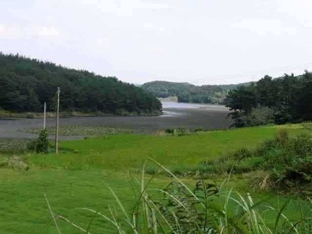 충남권 서태안권 저수지 상황닷개 섭벌 창촌 사창 신창 (조황조행기 - 특파원조황)