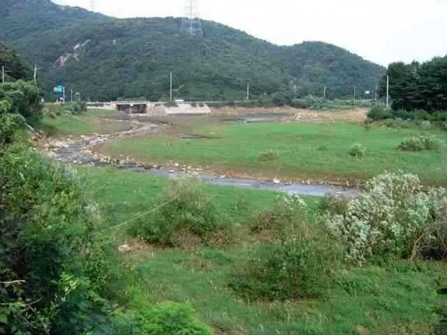 충남권 서태안권 저수지 상황닷개 섭벌 창촌 사창 신창 (조황조행기 - 특파원조황)