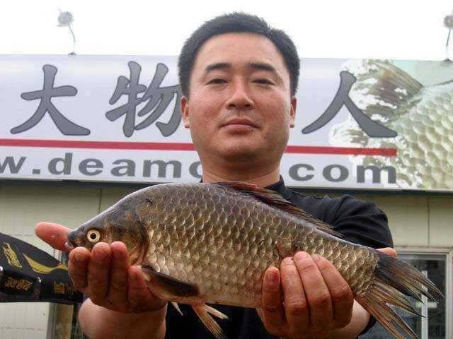 충남권 서태안권 저수지 상황닷개 섭벌 창촌 사창 신창 (조황조행기 - 특파원조황)