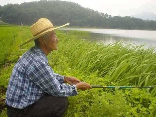 서산 동부권 장마철 소강기를 노려 (조황조행기 - 특파원조황)