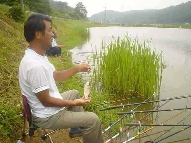 서산 동부권 장마철 소강기를 노려 (조황조행기 - 특파원조황)